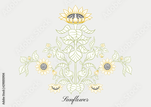 Sunflower. Set of elements for design Colored vector illustration. Outline hand drawing in art nouveau style, vintage, old, retro style..