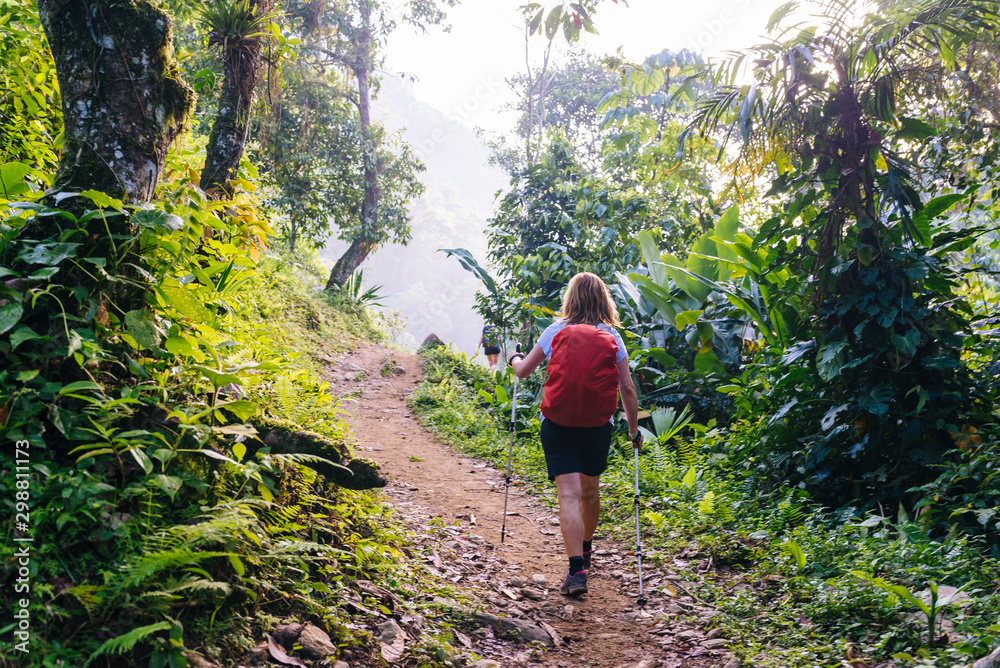 A woman with a daypack and walking sticks is hiking through the dense rainforest of the Sierra Nevada to the pre-Columbian city Ciudad Perdida A woman with a daypack and walking sticks is hiking through the dense rainforest of the Sierra Nevada to the pre-Columbian city Ciudad Perdida