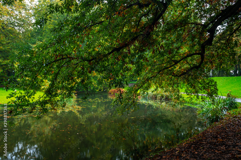 City park, trees reflection on the pond water, autumn. Rotterdam, Netherlands. City park, trees reflection on the pond water, autumn. Rotterdam, Netherlands.