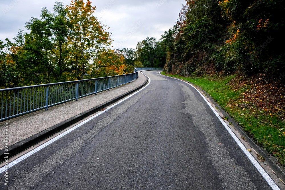 road in the forest