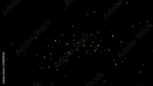 Swarm of FireFlies with alpha channel for easy compositing into your own scenes.	 photo