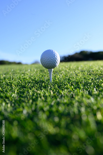 Golf ball in an white tee