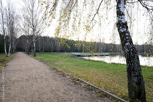 Photo of the river, water pier. Autumn park on the shore. Image of nature, forest, landscape.