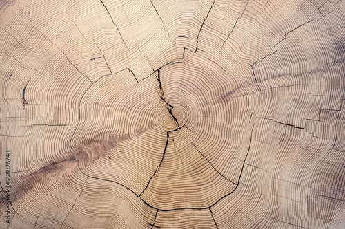 Panel kuchenny z motywem Old cut wood texture