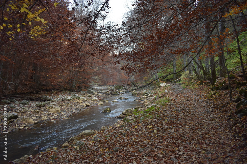 Autumn landscape in the forest in the mountains Autumn landscape in the forest in the mountains