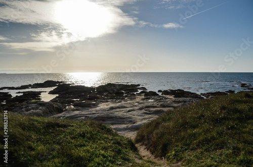 Sunset view on Atlantic shore beach. Path with green grass © Daria