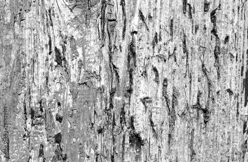 Grunge weathered wooden plank surface in black and white.