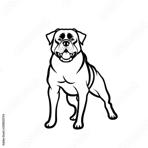 Rottweiler dog - isolated outlined vector illustration