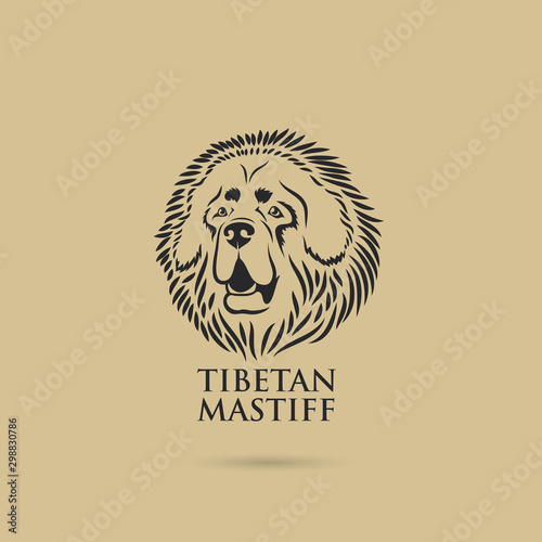 Tibetan Mastiff dog - vector illustration