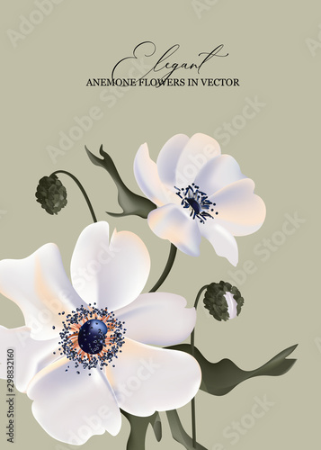 Elegant Anemone flowers decoration. Hand-drawn 3d flowers with greenery leaves, wedding watercolor decoration in vector