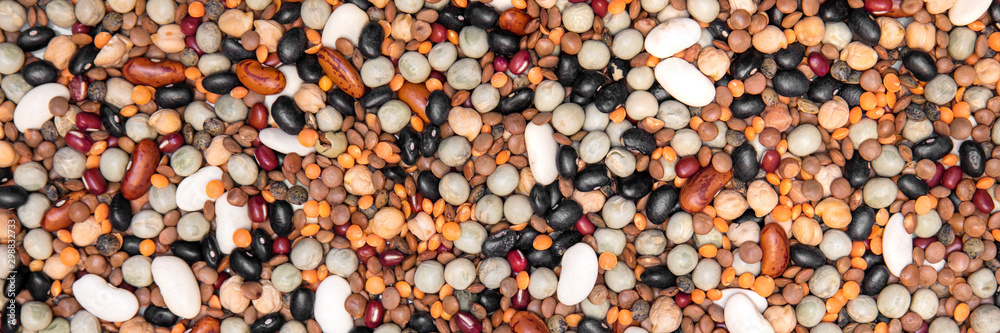 Header, colorful legumes mixture, lentils, beans and peas - obrazy, fototapety, plakaty 