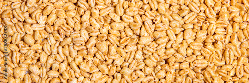 Header, puffed wheat grain background, breakfast cereal