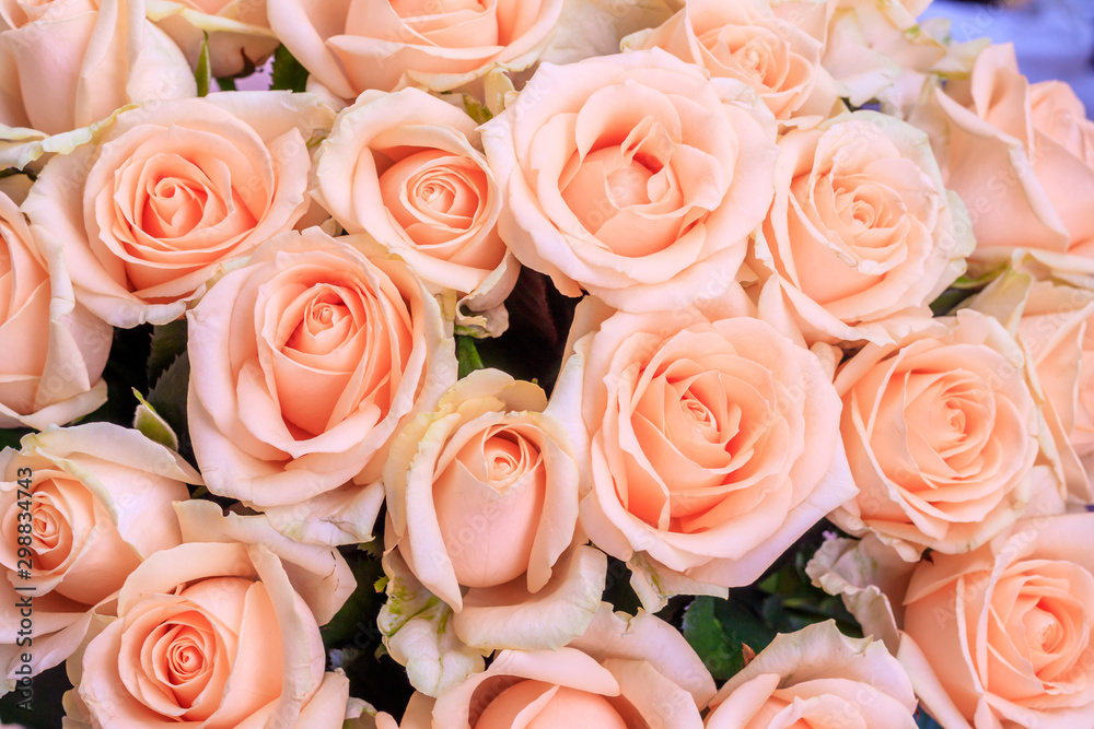 Bouquet of delicate roses . A background of floral roses. Beautiful flowers. A gift for the holiday. Fresh flowers. Bouquet of delicate roses . A background of floral roses. Beautiful flowers. A gift for the holiday. Fresh flowers.