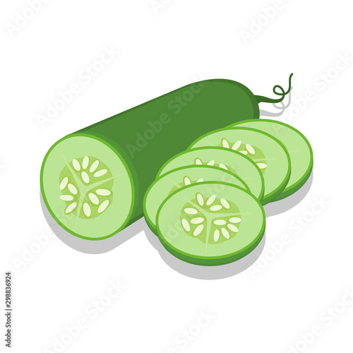 Cucumber vector illustration on a white background.