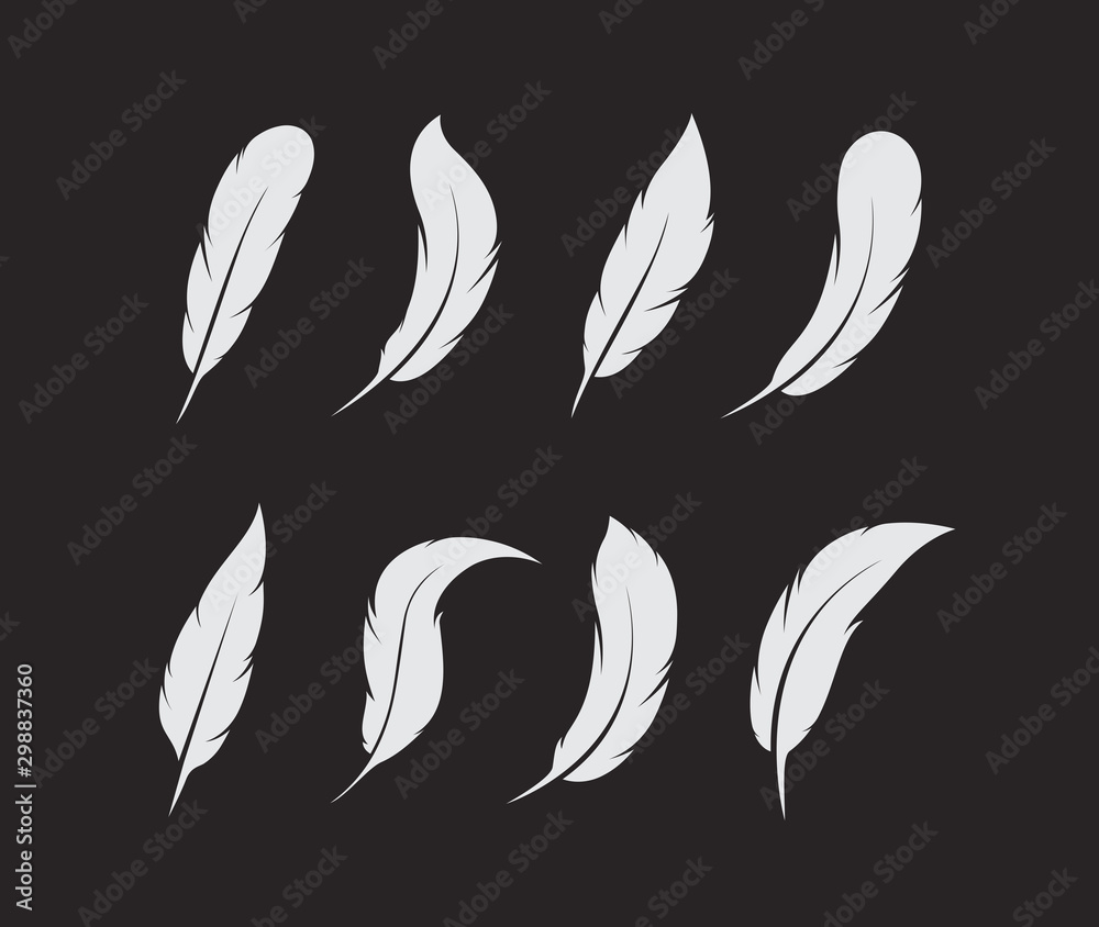 Vector group of white feather on black background. Easy editable layered vector illustration.