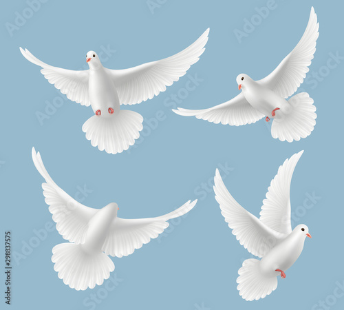 White pigeons. Dove love flying birds in sky symbols of freedom and wedding vector realistic pictures. Pigeon bird, dove freedom fly illustration