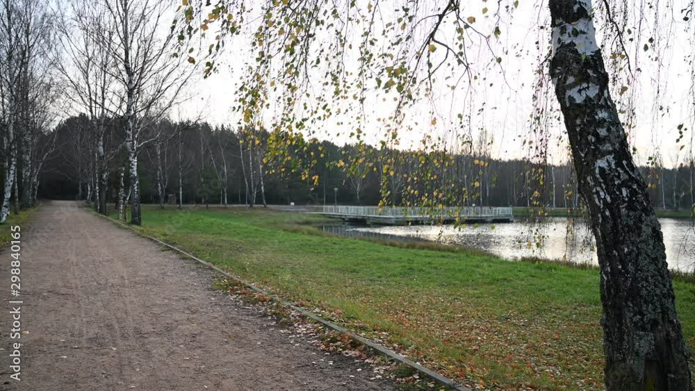 Video landscape flowing river in the park on an autumn day. Video landscape flowing river in the park on an autumn day.