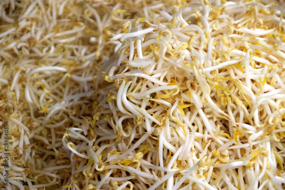 Fresh soybean sprouts on sale at a market