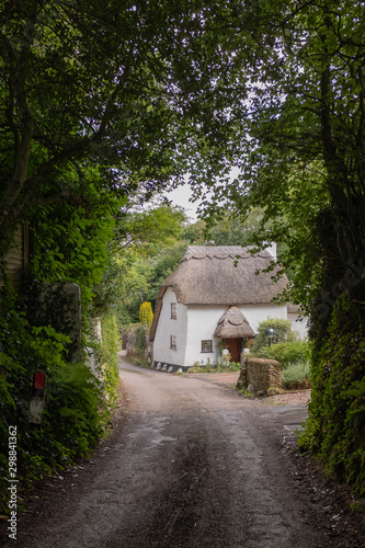 A picturesque Devon country lane surrounded by hedgerows with a thatched cottage in the distance.