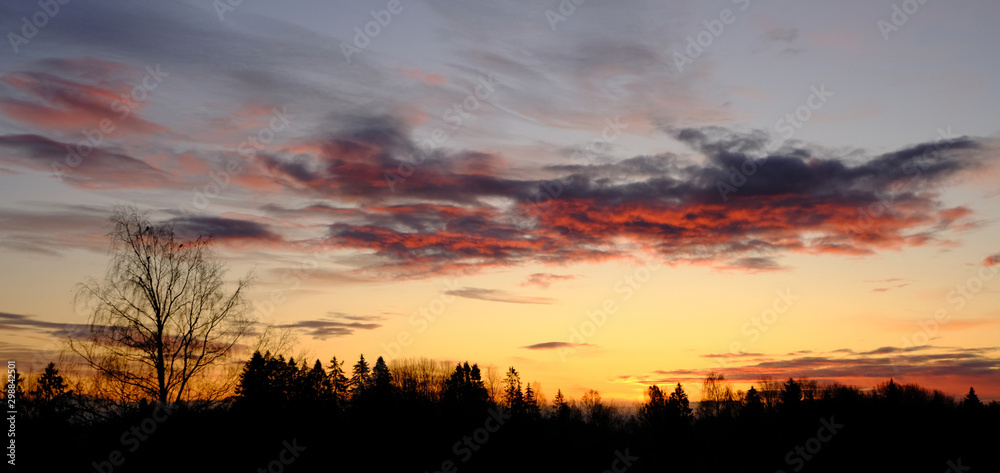 Fototapeta premium Golden sunrise over trees, Drobak, Norway
