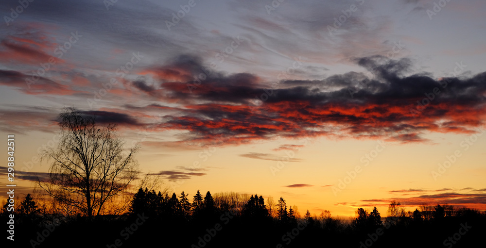 Sunrise over trees, Drobak, Norway Sunrise over trees, Drobak, Norway