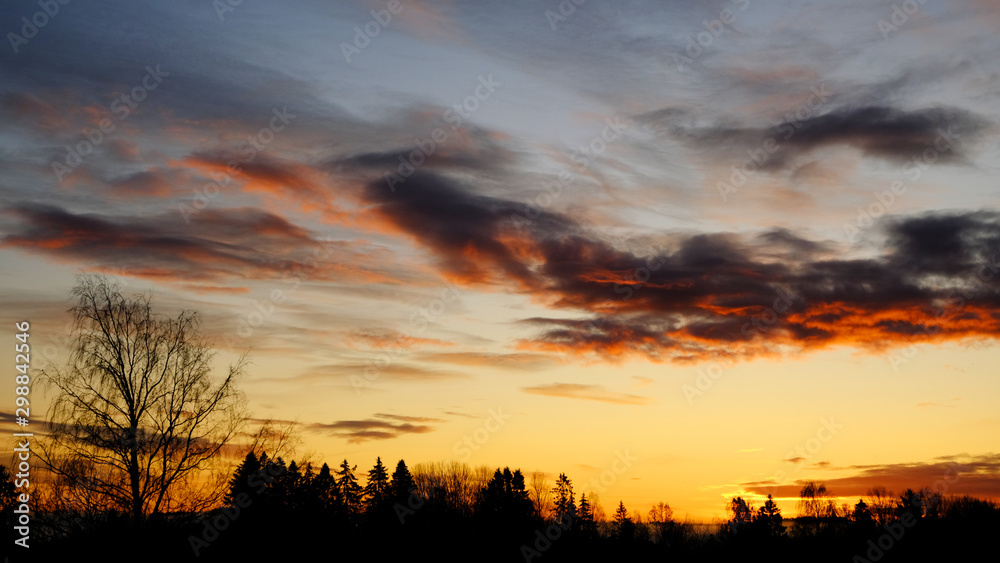 Obraz premium Sunrise over trees, Drobak, Norway