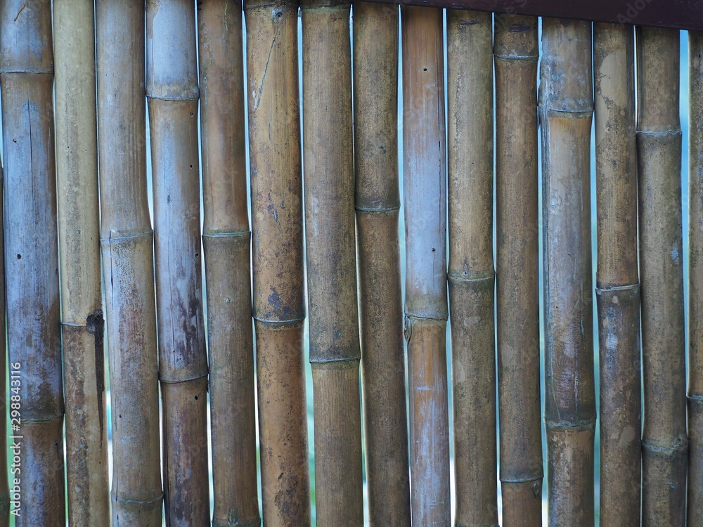 Close-up of bamboo wall pictures Close-up of bamboo wall pictures