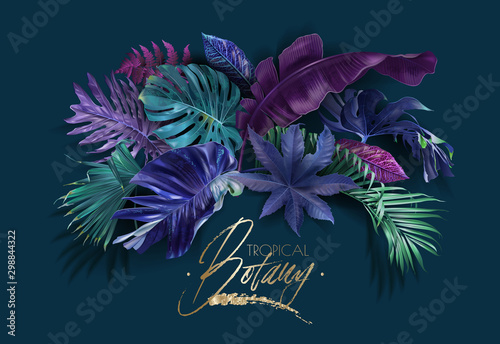 Vector frame banner with color tropical leaves