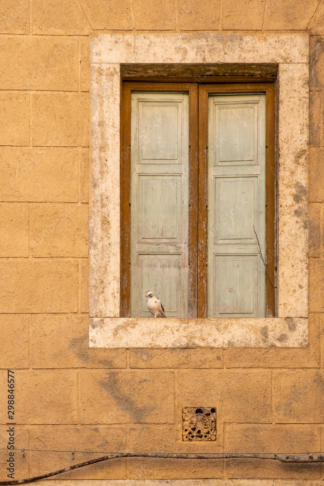 A single pigeon sitting on a window ledge with the faded shutters of the window closed behind it. A single pigeon sitting on a window ledge with the faded shutters of the window closed behind it.