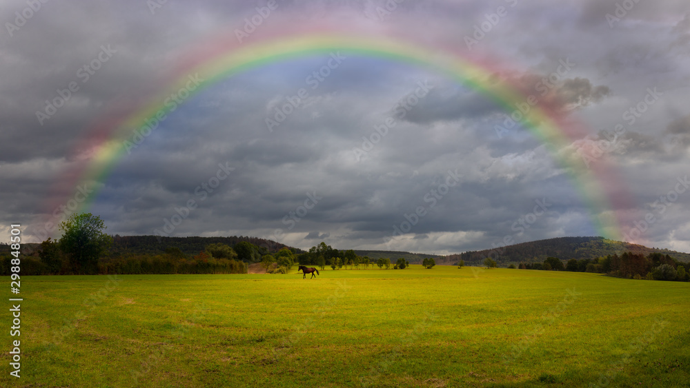 A lonely brown horse is running across a green field. In the sky are heavy dark rain clouds and a beautiful rainbow. Landscape in Germany. A lonely brown horse is running across a green field. In the sky are heavy dark rain clouds and a beautiful rainbow. Landscape in Germany.