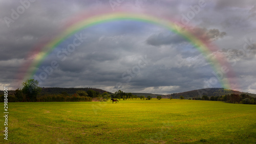 A lonely brown horse is running across a green field. In the sky are heavy dark rain clouds and a beautiful rainbow. Landscape in Germany.