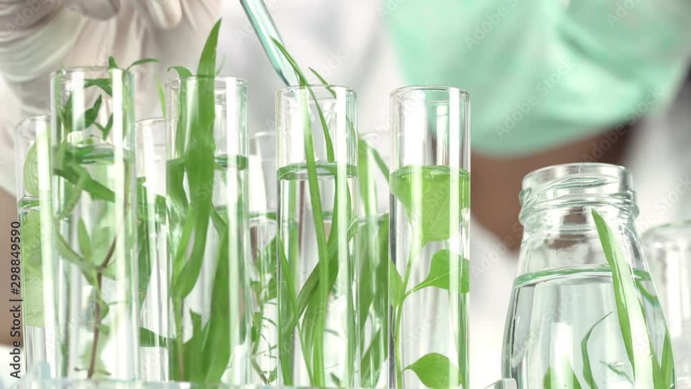 Sientist work with plant in test tubes in laboratory. Dolly shot Sientist work with plant in test tubes in laboratory. Dolly shot