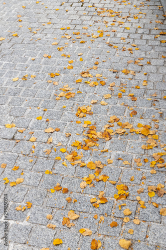 Fallen yellow leaves on granite cobblestones