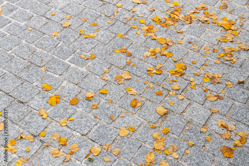 Fallen yellow leaves on granite cobblestones