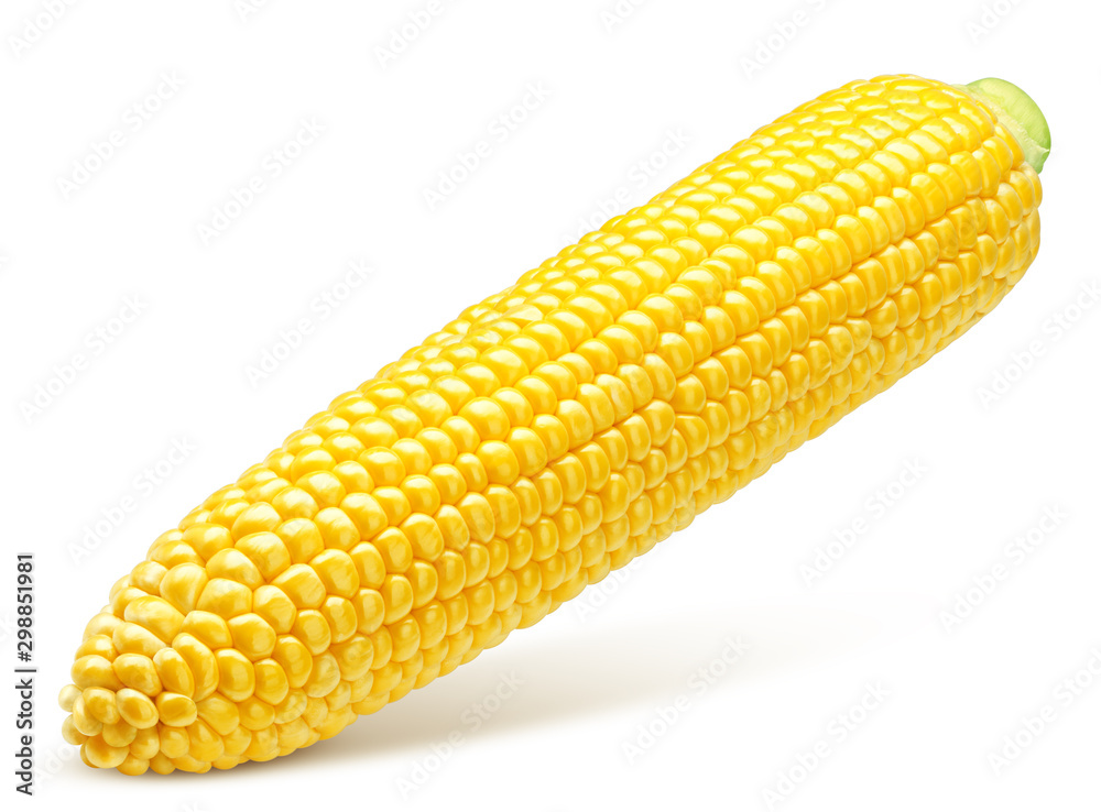 corn ear, isolated on white background, clipping path, full depth of field corn ear, isolated on white background, clipping path, full depth of field