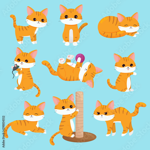 Fototapet Vector kawaii cats set in different situations