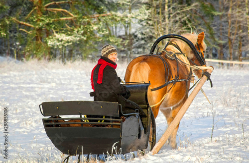 Woman and horse with sleigh