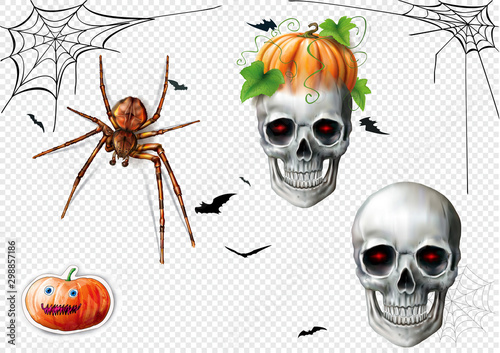 Halloween set. Skull, Spider, Pumpkin