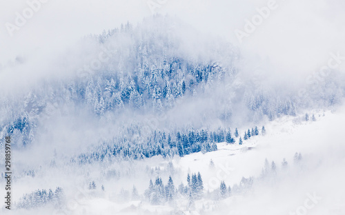 snowy fir trees in fog - winter in the mountains © Melinda Nagy