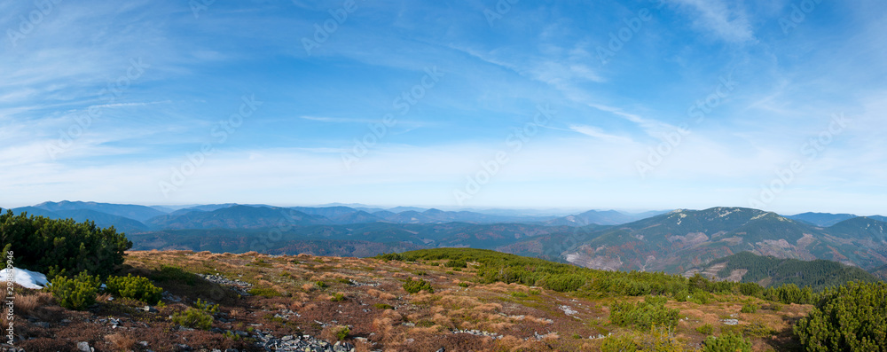 beautiful panorama with alpine pine and mountains under blue sky