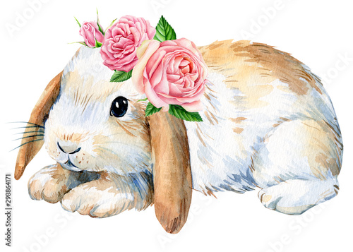 Fényképezés poster, cute bunny with roses flowers on an isolated white background, animals i
