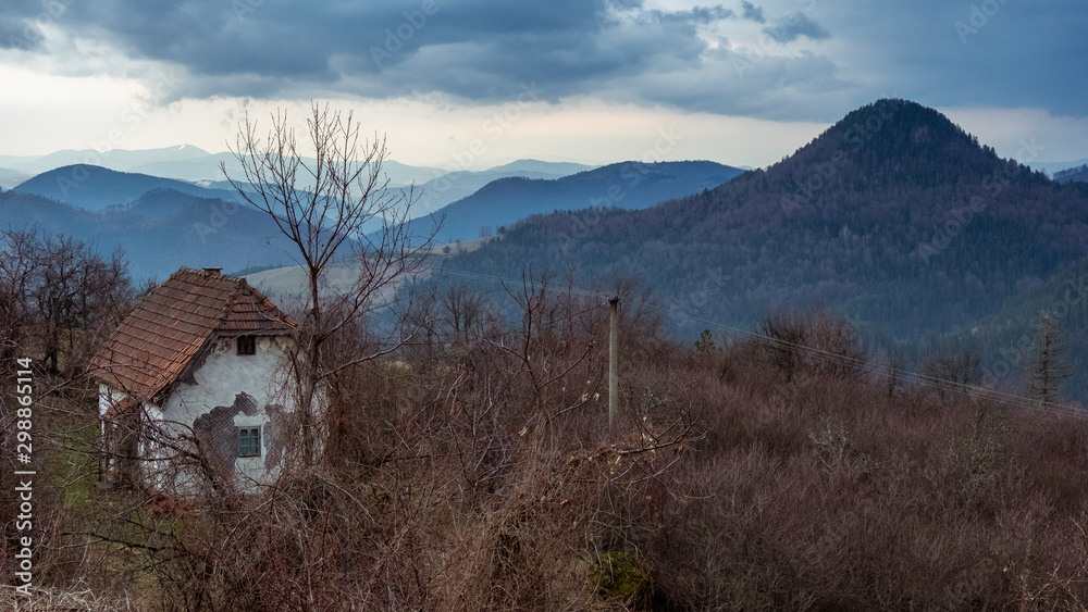Tara National Park, Serbia