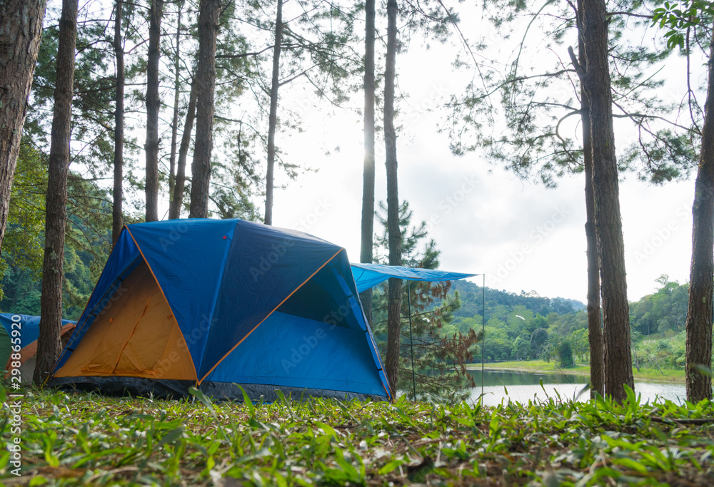 Camping tent on the grass