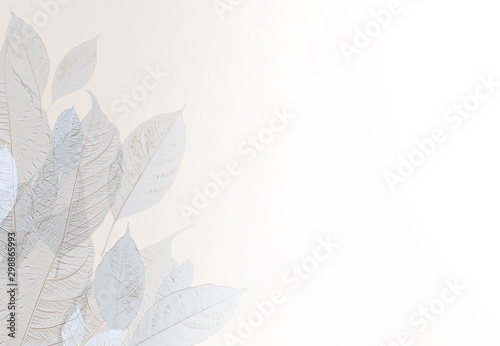 Natural leaves patten background on pastel light brown color gradient to white space for copy space