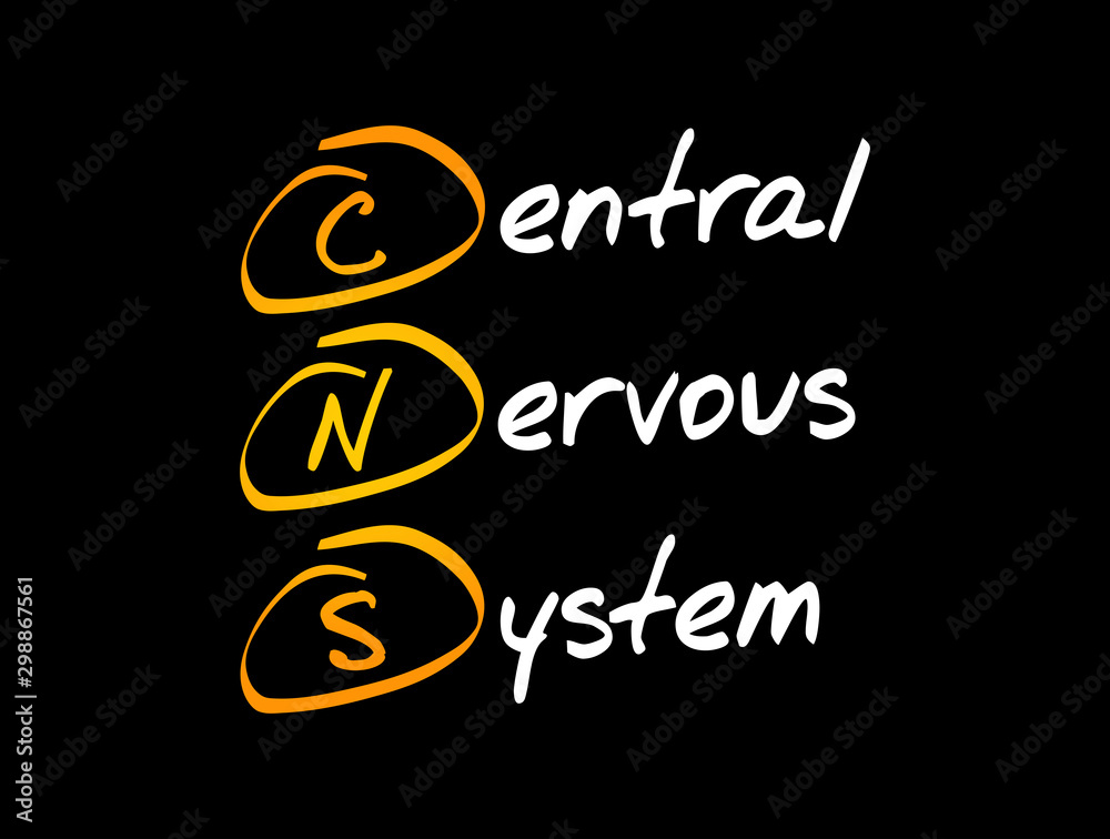 CNS - Central Nervous System acronym, concept background CNS - Central Nervous System acronym, concept background