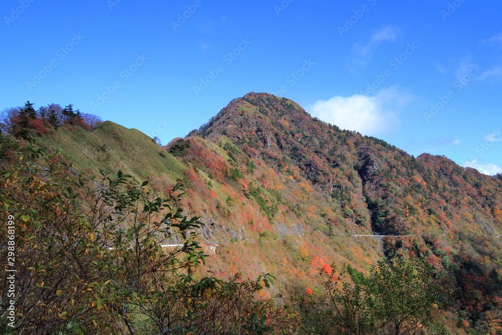 瓶ヶ森林道から西黒森を眺める（高知県、愛媛県）