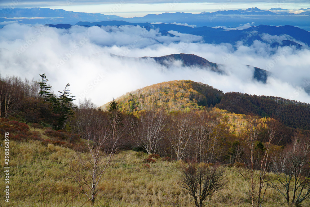 美ヶ原高原の紅葉 Stock Photo Adobe Stock