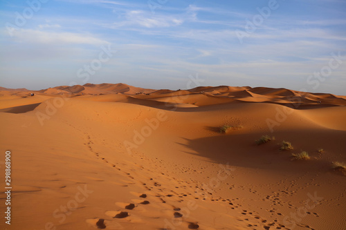 Sand dunes from the sahara desert in Morocco with blue skies
