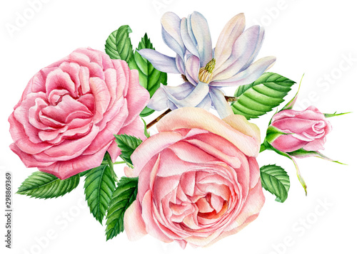 poster, flowers of roses and magnolia on an isolated white background, botanical illustration