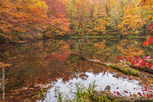 Towada Hachimantai National Park in autumn